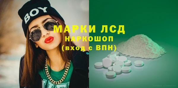 apvp Алексин