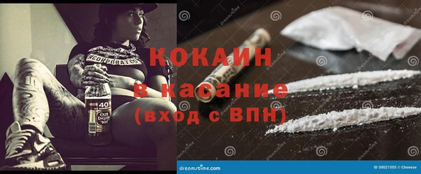 apvp Алексин