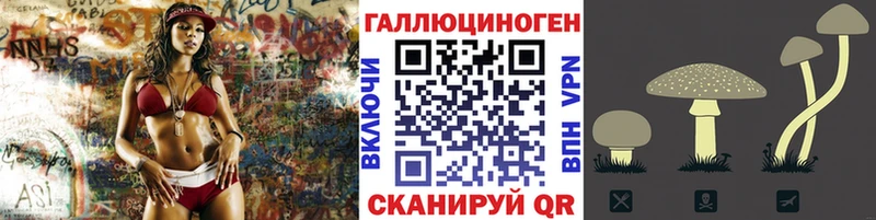 кракен онион Далматово Галлюциногенные грибы Psilocybine cubensis
